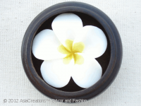Carved Soap Flower Set: Frangipani, Impala, Slipper Orchid