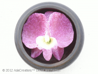 Carved Soap Flower Set: Slipper Orchid, Lady Slipper, Orchid